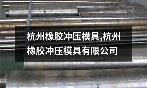 杭州橡膠沖壓模具,杭州橡膠沖壓模具有限公司