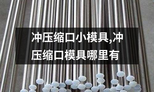 沖壓縮口小模具,沖壓縮口模具哪里有