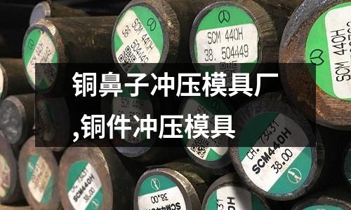 銅鼻子沖壓模具廠,銅件沖壓模具