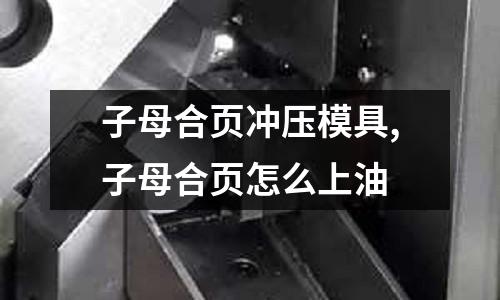 子母合頁沖壓模具,子母合頁怎么上油