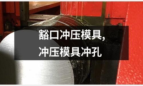 豁口沖壓模具,沖壓模具沖孔