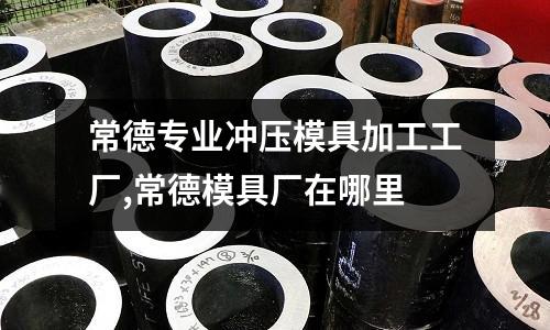 常德專業(yè)沖壓模具加工工廠,常德模具廠在哪里