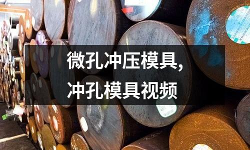 微孔沖壓模具,沖孔模具視頻