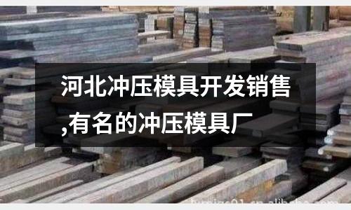 河北沖壓模具開發(fā)銷售,有名的沖壓模具廠