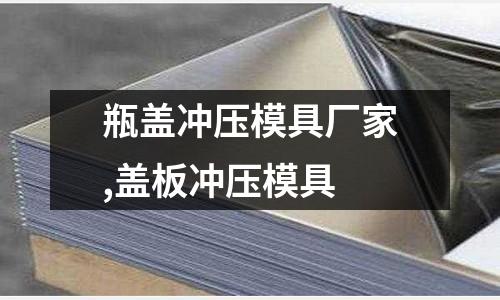 瓶蓋沖壓模具廠家,蓋板沖壓模具