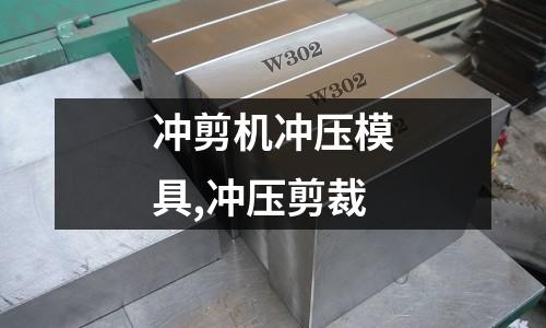 沖剪機(jī)沖壓模具,沖壓剪裁