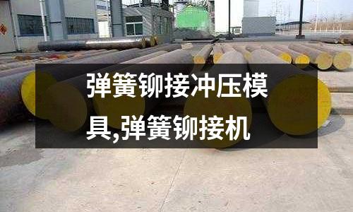 彈簧鉚接沖壓模具,彈簧鉚接機(jī)