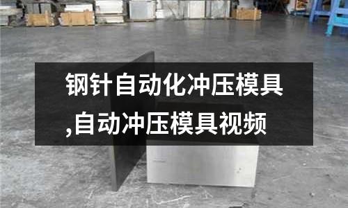 鋼針自動化沖壓模具,自動沖壓模具視頻