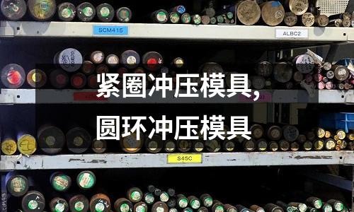 緊圈沖壓模具,圓環(huán)沖壓模具