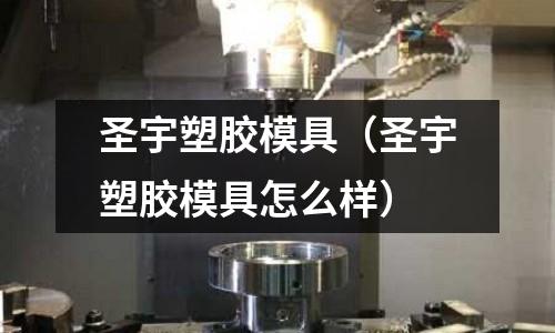 圣宇塑膠模具（圣宇塑膠模具怎么樣）