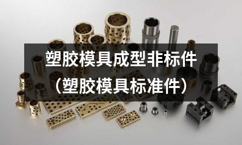 塑膠模具成型非標(biāo)件（塑膠模具標(biāo)準(zhǔn)件）