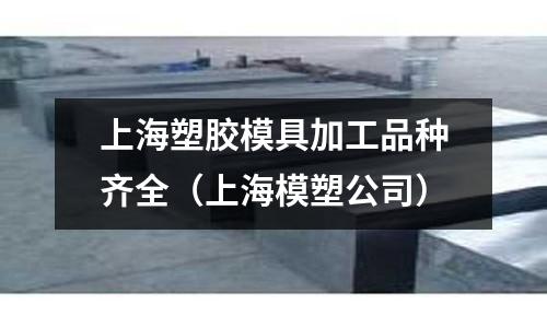 上海塑膠模具加工品種齊全（上海模塑公司）