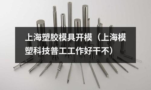 上海塑膠模具開模（上海模塑科技普工工作好干不）