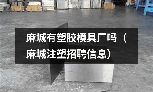 麻城有塑膠模具廠嗎（麻城注塑招聘信息）