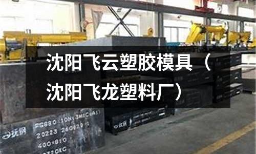 沈陽飛云塑膠模具（沈陽飛龍塑料廠）