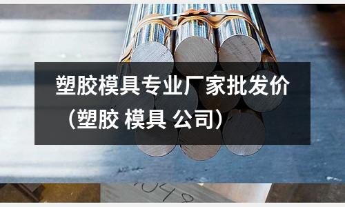 塑膠模具專業(yè)廠家批發(fā)價（塑膠 模具 公司）