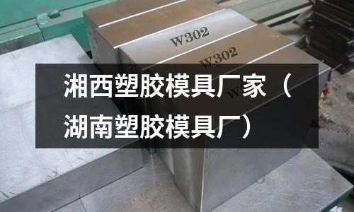 湘西塑膠模具廠家（湖南塑膠模具廠）