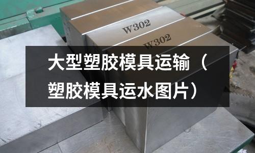 大型塑膠模具運輸（塑膠模具運水圖片）