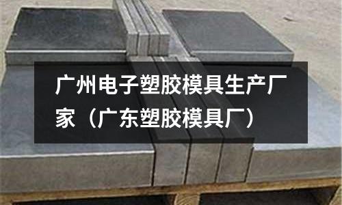 廣州電子塑膠模具生產(chǎn)廠家（廣東塑膠模具廠）