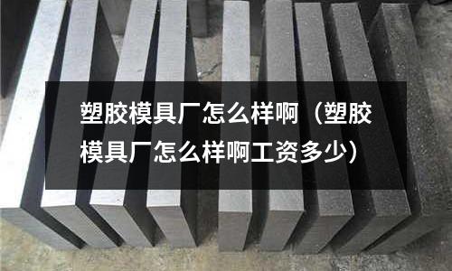 塑膠模具廠怎么樣?。ㄋ苣z模具廠怎么樣啊工資多少）