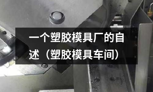 一個(gè)塑膠模具廠的自述（塑膠模具車間）