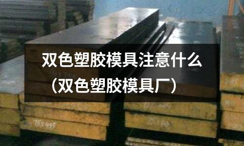 雙色塑膠模具注意什么（雙色塑膠模具廠）