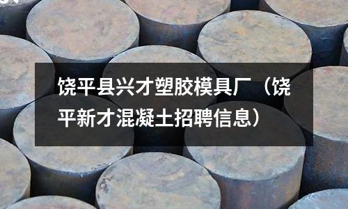 饒平縣興才塑膠模具廠（饒平新才混凝土招聘信息）