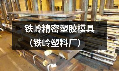 鐵嶺精密塑膠模具（鐵嶺塑料廠）