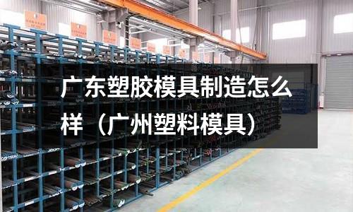 廣東塑膠模具制造怎么樣（廣州塑料模具）