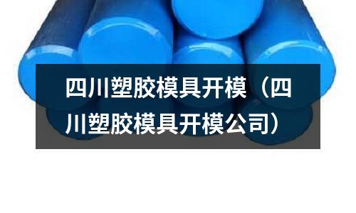 四川塑膠模具開模（四川塑膠模具開模公司）