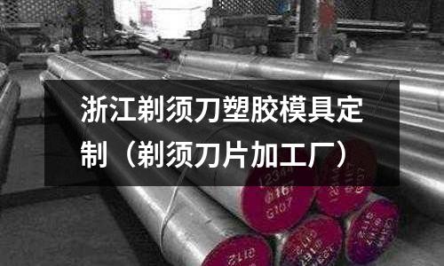 浙江剃須刀塑膠模具定制（剃須刀片加工廠）