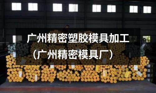 廣州精密塑膠模具加工（廣州精密模具廠）