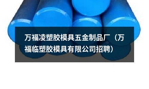 萬福凌塑膠模具五金制品廠（萬福臨塑膠模具有限公司招聘）