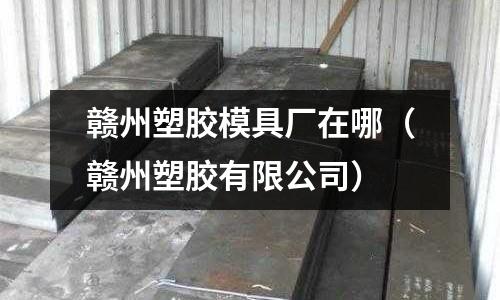 贛州塑膠模具廠在哪（贛州塑膠有限公司）