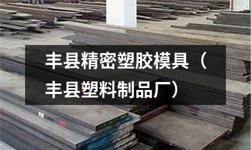 豐縣精密塑膠模具（豐縣塑料制品廠）