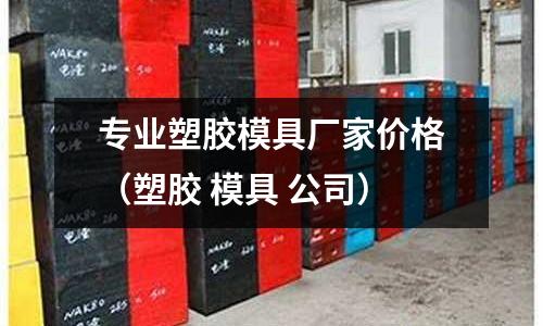 專業(yè)塑膠模具廠家價(jià)格（塑膠 模具 公司）