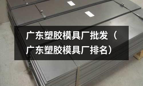 廣東塑膠模具廠批發(fā)（廣東塑膠模具廠排名）