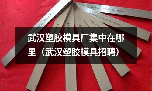 武漢塑膠模具廠集中在哪里（武漢塑膠模具招聘）