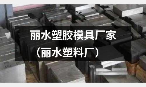 麗水塑膠模具廠家（麗水塑料廠）