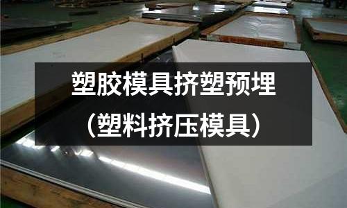 塑膠模具擠塑預埋（塑料擠壓模具）