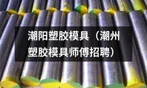 潮陽塑膠模具（潮州塑膠模具師傅招聘）