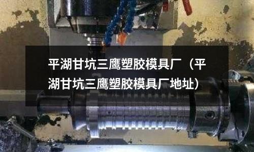 平湖甘坑三鷹塑膠模具廠（平湖甘坑三鷹塑膠模具廠地址）