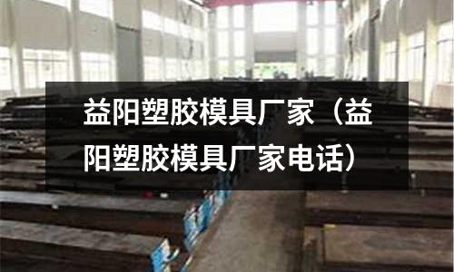 益陽塑膠模具廠家（益陽塑膠模具廠家電話）