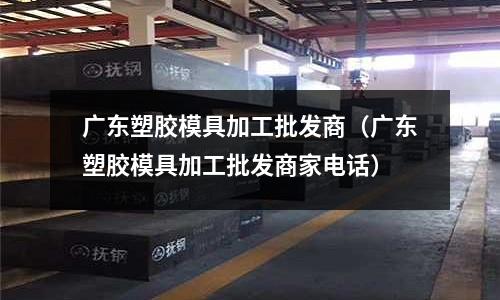 廣東塑膠模具加工批發(fā)商（廣東塑膠模具加工批發(fā)商家電話）