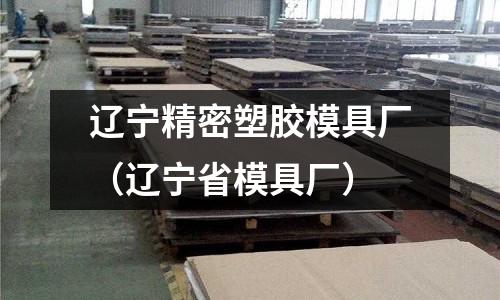 遼寧精密塑膠模具廠（遼寧省模具廠）