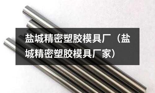 鹽城精密塑膠模具廠（鹽城精密塑膠模具廠家）