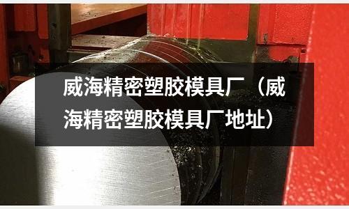 威海精密塑膠模具廠（威海精密塑膠模具廠地址）