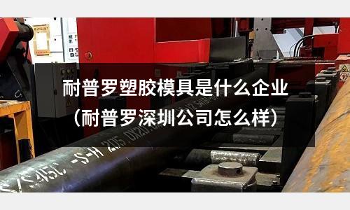 耐普羅塑膠模具是什么企業(yè)（耐普羅深圳公司怎么樣）