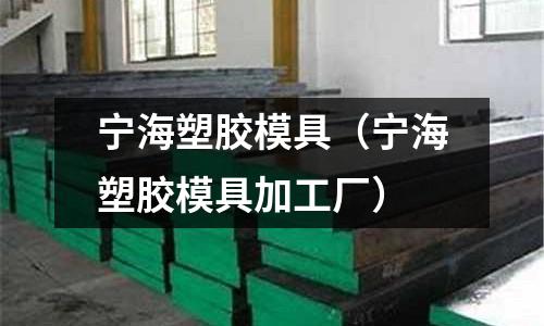 寧海塑膠模具（寧海塑膠模具加工廠）