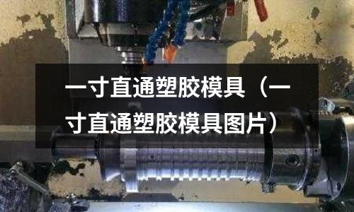 一寸直通塑膠模具（一寸直通塑膠模具圖片）